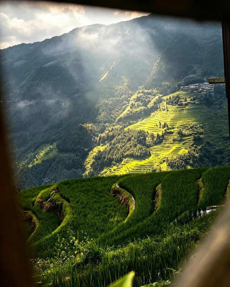 12 Secrets of Guizhou | Where Waters Sing and Villages Tell Stories – An Immersive ICH & Landscape Journey