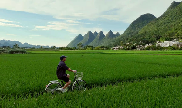 Cycling through Wanfenglin