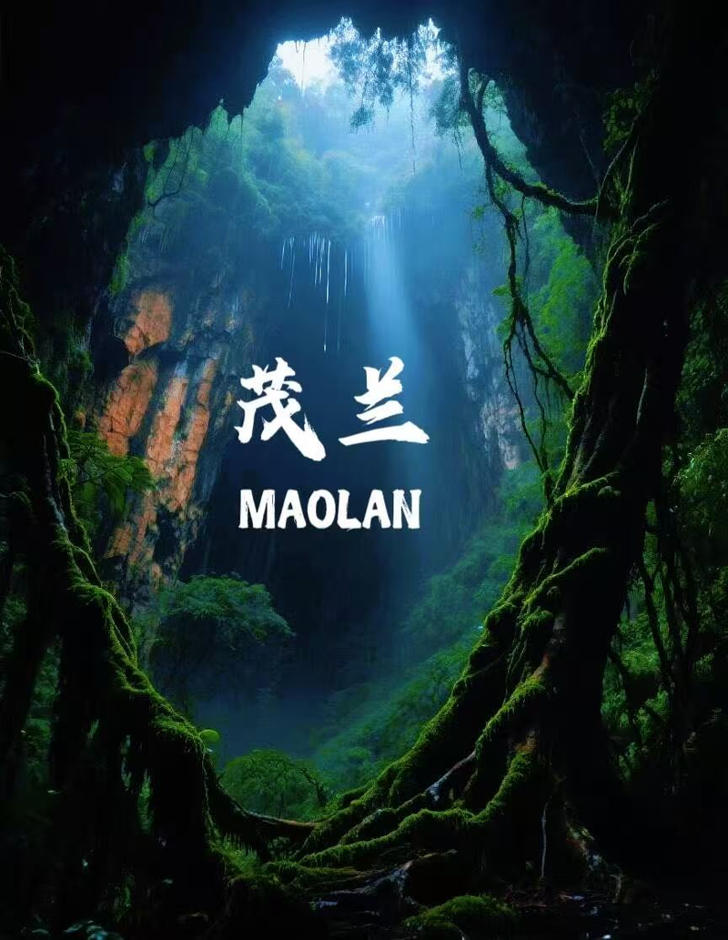 Guizhou 8-Day Family Discovery: Astronomy, Caves & Miao Heritage